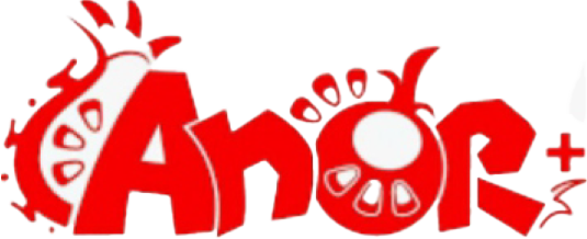  Anor